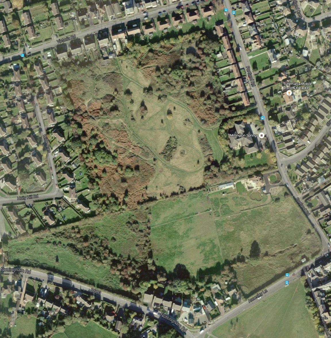 Google map of Bracken House and Selston Common Grasslands