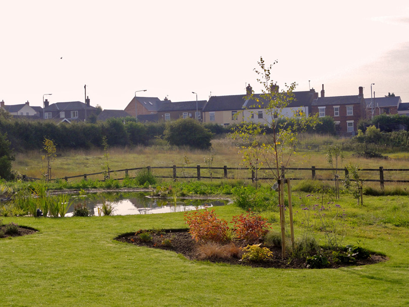 Lawned area and wildlife pond.