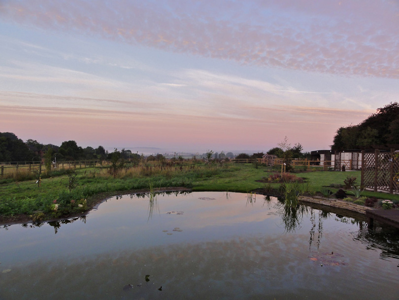 A sunset scene from the pond.
