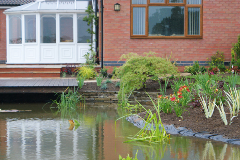 The pond and its borders planted.