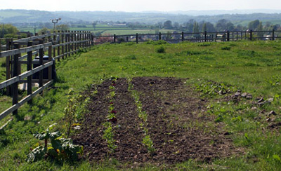 The old allotment area